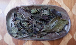 Tribute Eyebrow ~ Gong Mei early 2020s