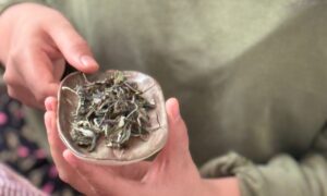 Tea Tasting ~ Returning Customer