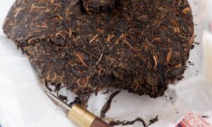 PUERH TASTER PACK